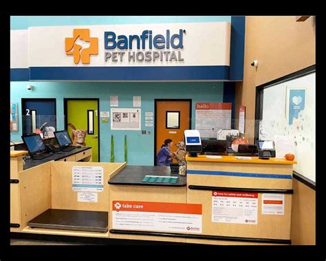 banfield pet hospital reviews